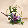 Enchanted Hoop — سلة الأحلام